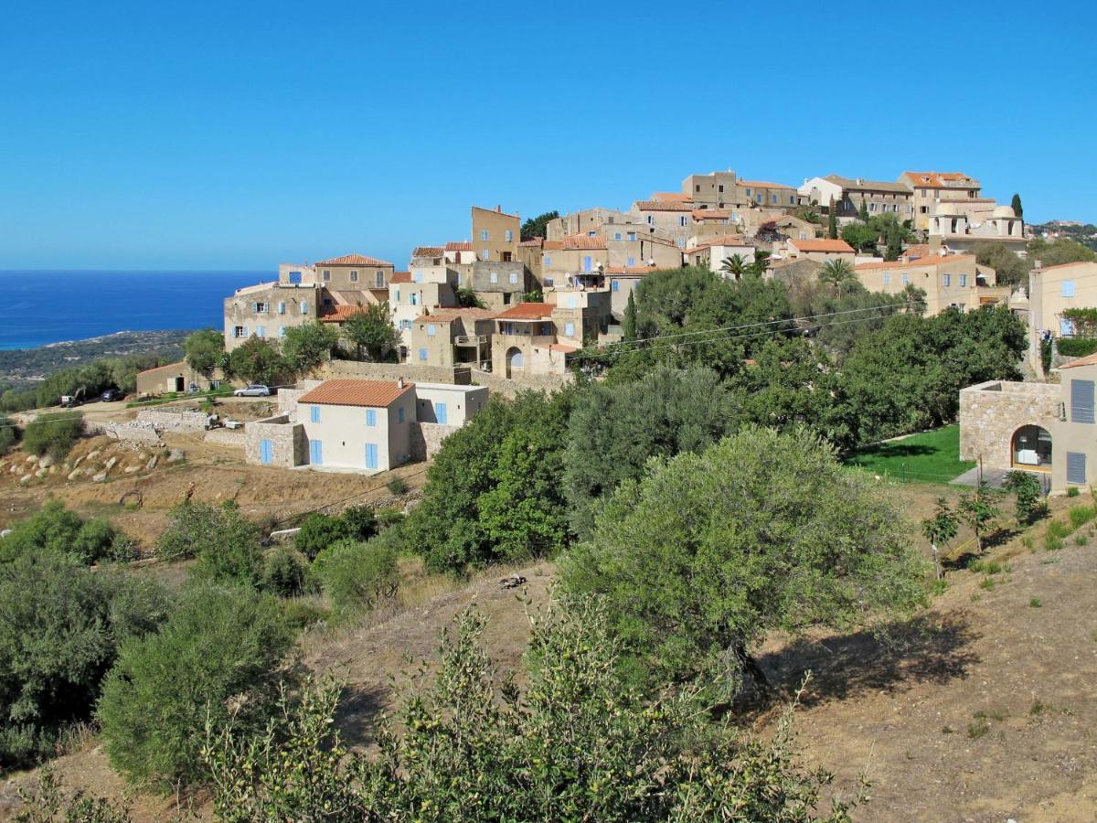 Apartment Thalassa - Cal200 By Interhome Corsica Island エクステリア 写真